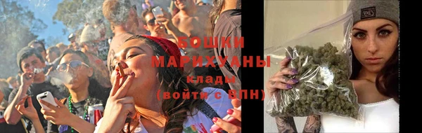 индика Кулебаки