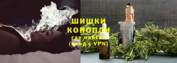 индика Кулебаки