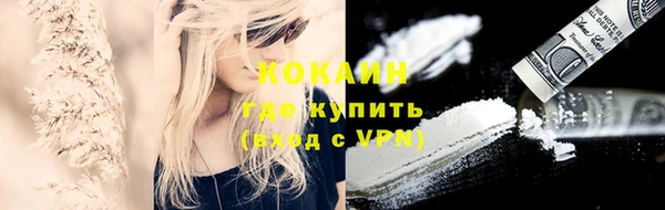 МДПВ Кукмор