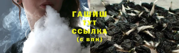 индика Кулебаки