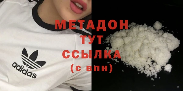индика Кулебаки