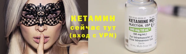 индика Кулебаки