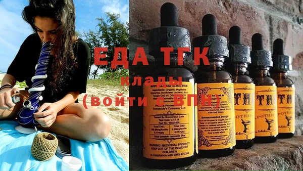 индика Кулебаки