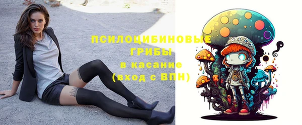 МДПВ Кукмор