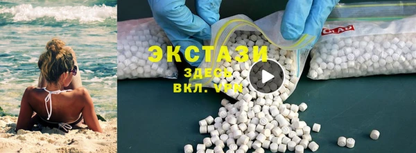 индика Кулебаки