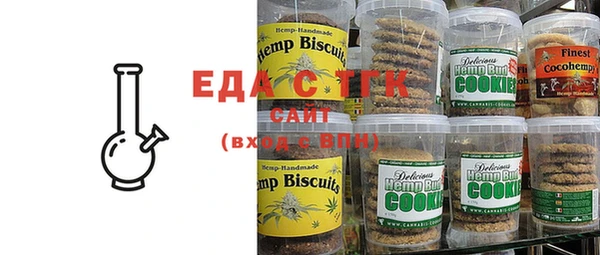 индика Кулебаки