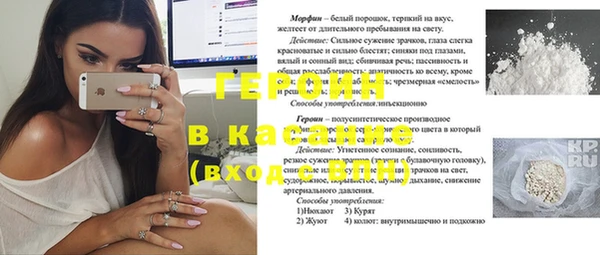 индика Кулебаки