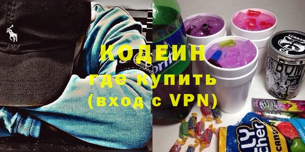 индика Кулебаки