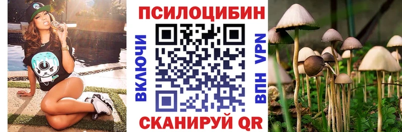 это клад  Цивильск  Галлюциногенные грибы Psilocybine cubensis  закладки 